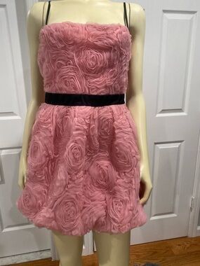 Zara pink ,Black Waistband  Structured Short Floral beautiful Dress Size XL